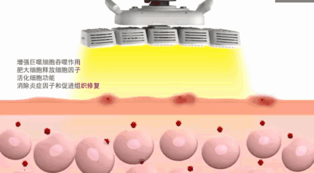 烂脸警告!敏感肌一定要看!(建议收藏)