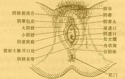 女性有多少种性高潮类型你体验过哪几种呢