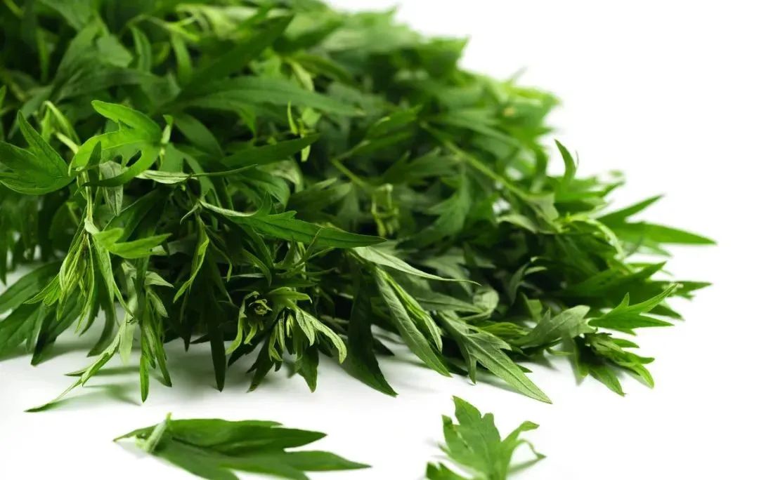 艾叶性温,味苦, 入脾,肝,肾经.