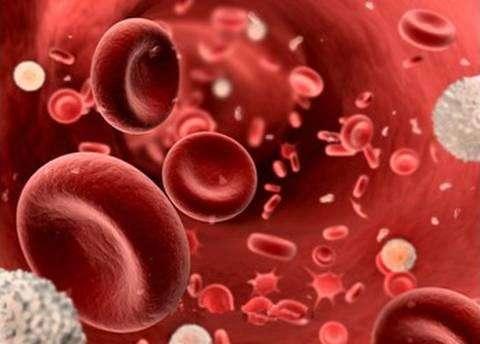 血液病包括哪些病?出现这4类问题,建议去血液科瞧瞧