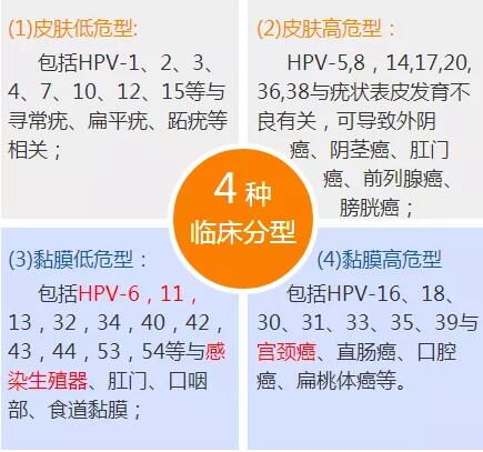 尖锐湿疣hpv病毒型号多吗