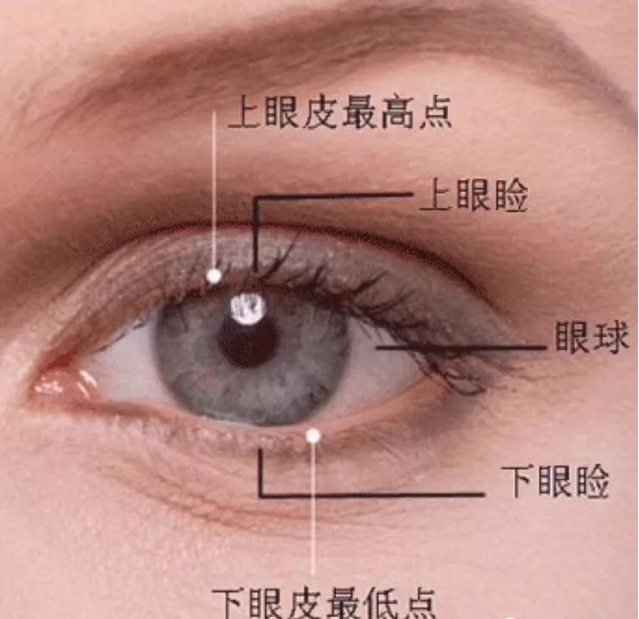 双眼皮你又知多少?