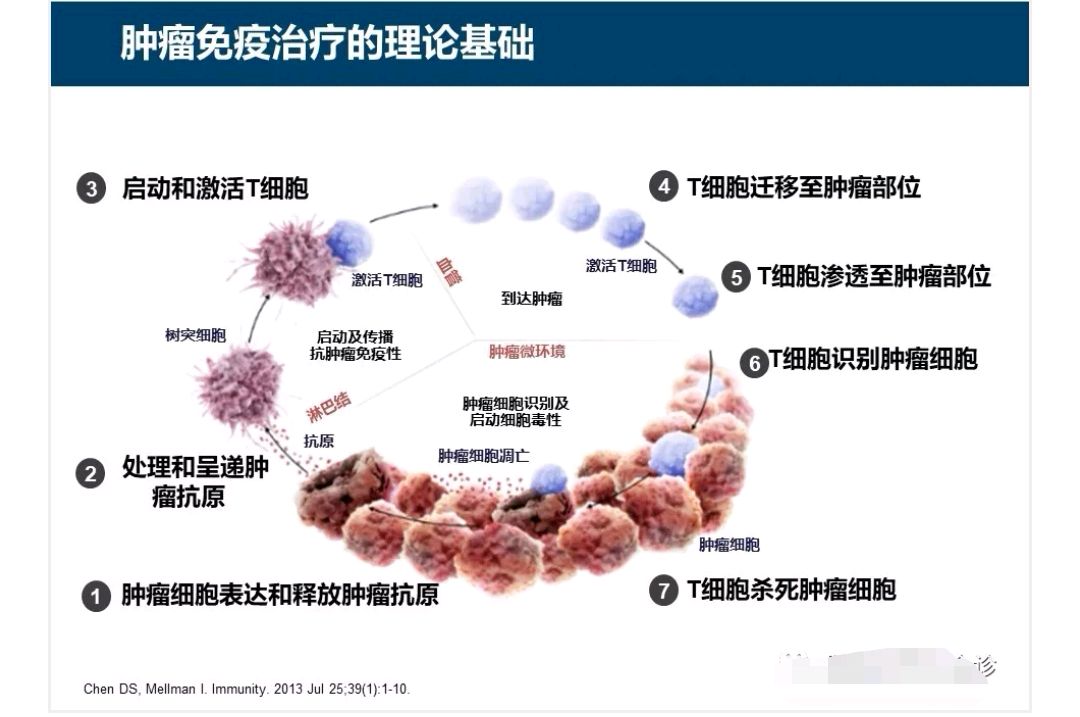 什么是非小细胞肺癌的免疫治疗?