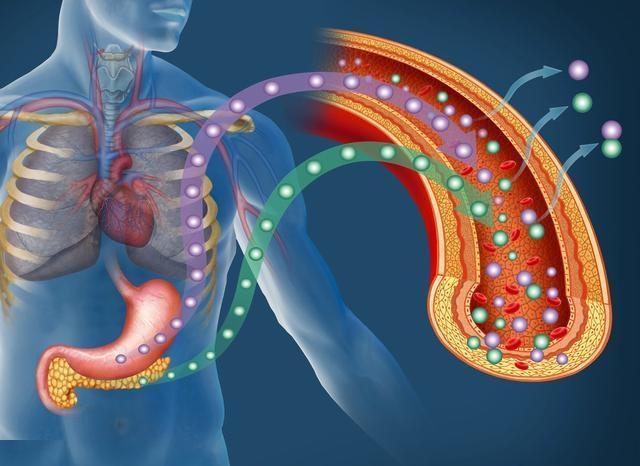 血糖高,胰島功能有恢復正常的可能嗎?聽內分泌專家怎麼說