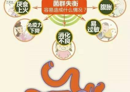 切除胆囊后,肠道菌群紊乱了怎么办?