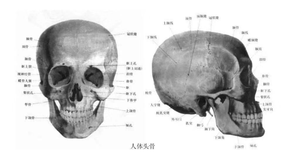 什么样的男生算骨相好看?