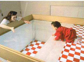 心理学先哲的点滴故事66詹姆斯吉布森