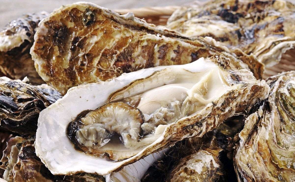 亦食亦药话牡蛎