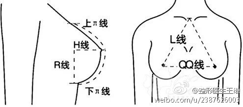 胸部五大黄金线