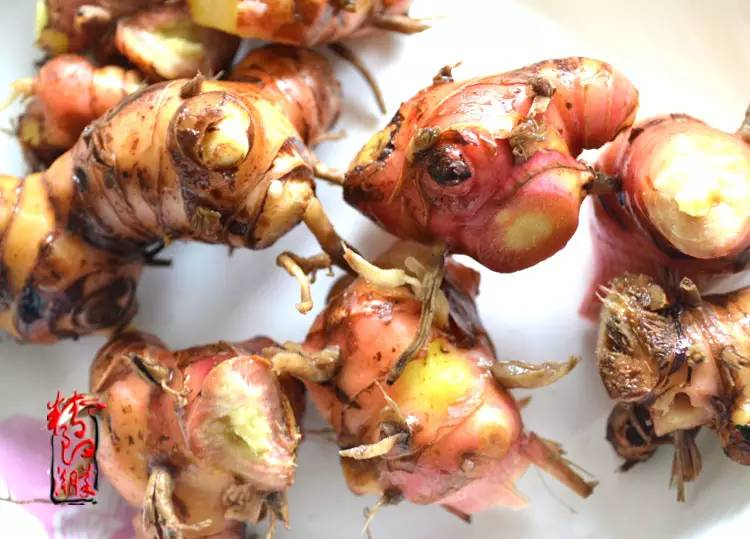 因为大高良姜质地坚韧,甚至坚硬如石,使用时往往要将其捣碎,加盐用