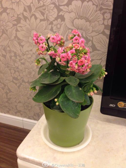 516_688竖版 竖屏