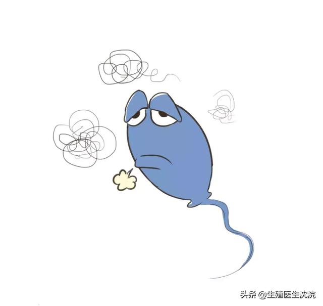 男人过了这个岁数,精子质量大不如前,想要宝宝要抓紧