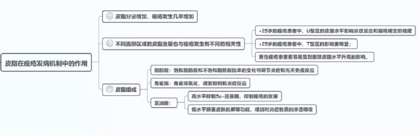 皮脂在痤疮发病机制中的作用综述