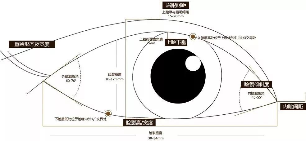 隔壁霓虹国评选出的“最漂亮的眼睛”符合你的审美吗？