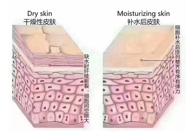 20岁左右的你需要知道的几个护肤关键点