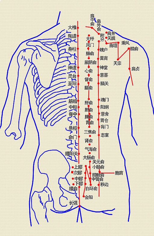 经络诊断