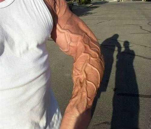 早射调理小窍门 捏握刺激法_月季花语录