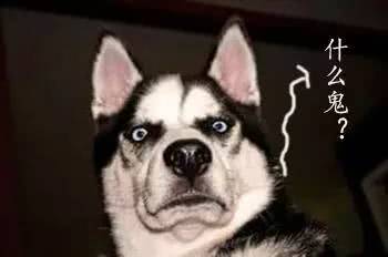 过山车能不能排出胆结石?