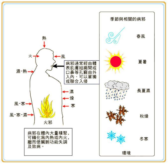 六淫的性质及其致病特点 1,风邪:风邪是外感致病