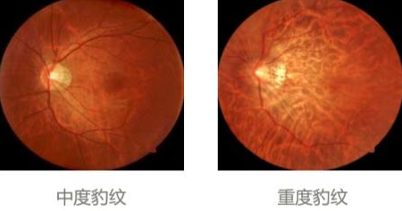 爱问健康_韩崧__爱问健康