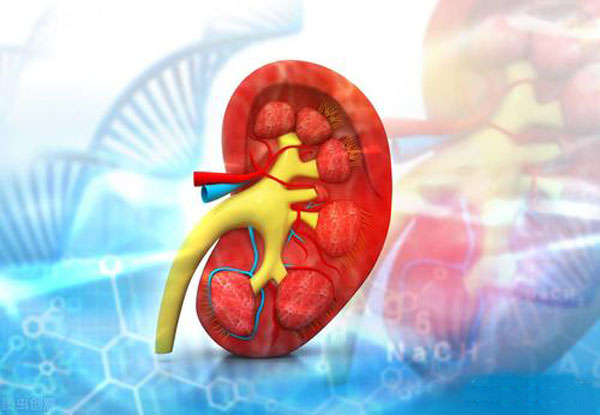 iga腎病可致腎衰竭但治療因人而異強調個性化