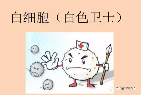 白细胞突然增多是发炎了还是白血病