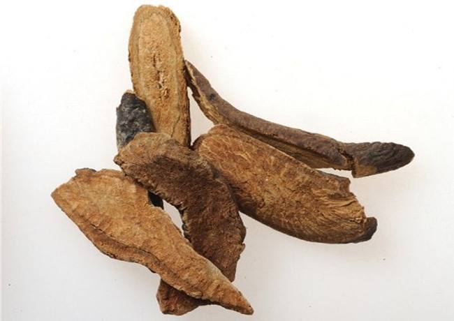 四种止血中药,可外用,可内服!