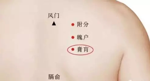 百岁"药王"孙思邈长寿秘诀:艾灸膏肓穴养肺调心,除一身疾!