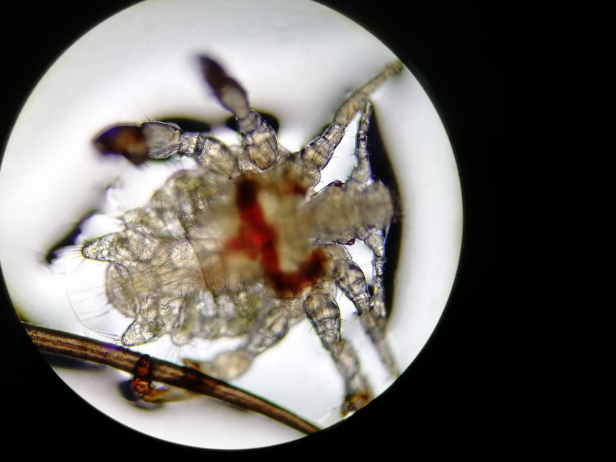 下面好痒是谁在把你撩