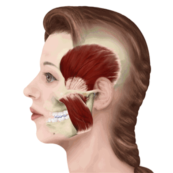 牙齿矫正会让牙齿变松?这5大误区你中了几个?
