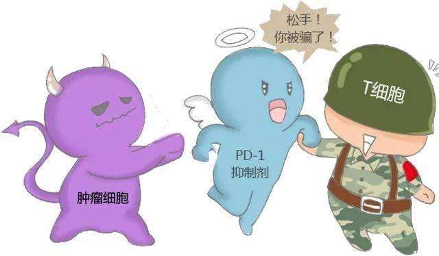 什么是肿瘤的免疫治疗?