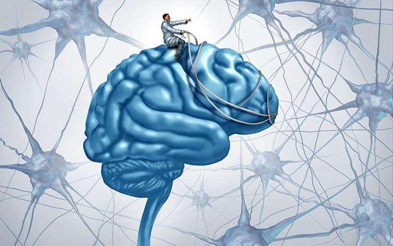 植物神经紊乱到底是什么疾病听听精神科专家对它的讲解吧