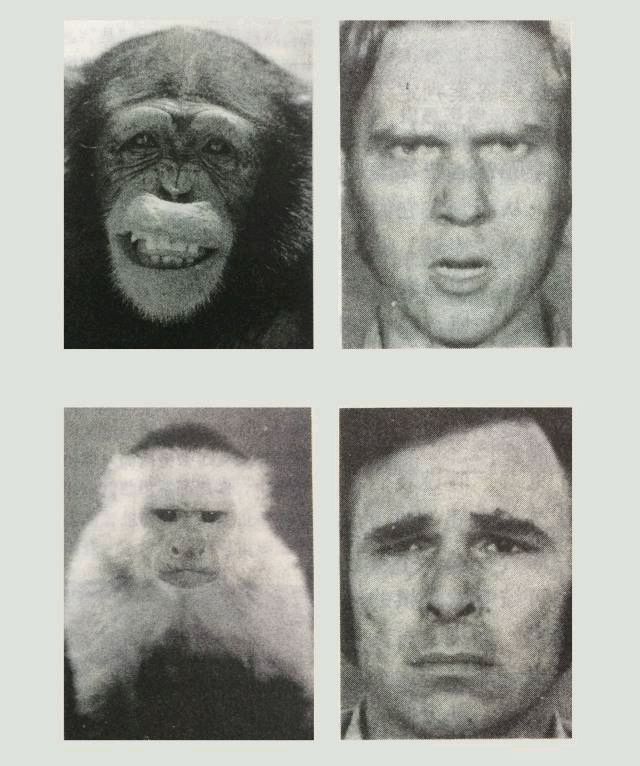 心理学先哲的点滴故事（65）——保罗·艾克曼