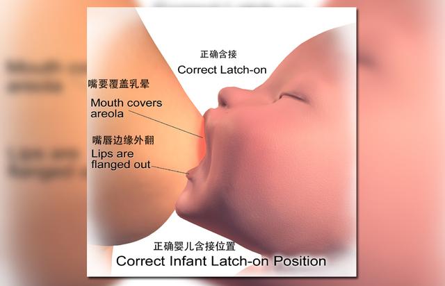 母乳喂养的十大难题是如何克服的