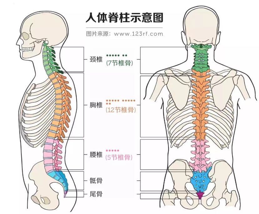 人还年轻,颈椎和腰就先垮了