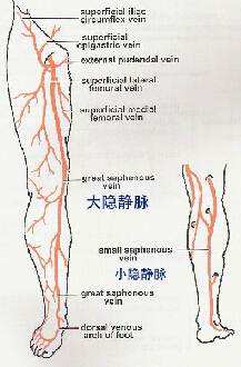 医生诊室