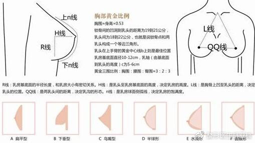 桶状胸胸廓前后径过大,甚至等于或超过横径,如圆桶状.