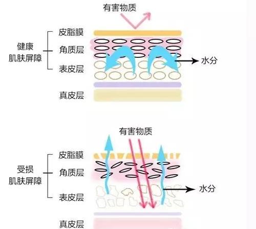 頻繁的清潔/消毒手部皮膚會破壞皮膚屏障的正常結構,改變皮脂膜ph