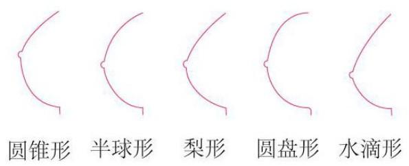 什么样的胸型更完美?