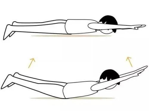 小燕飞模拟了燕子飞行的姿势,原理就是通过 加大腰椎曲度,强化腰背部