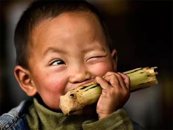 这样吃甘蔗甜蜜将变成毒药健康吃甘蔗必须要知道这1件事