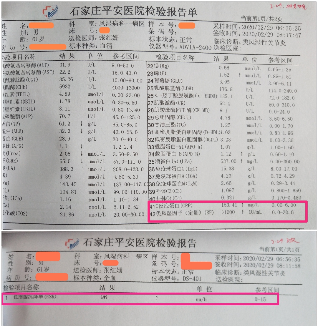 类风湿因子检查图片