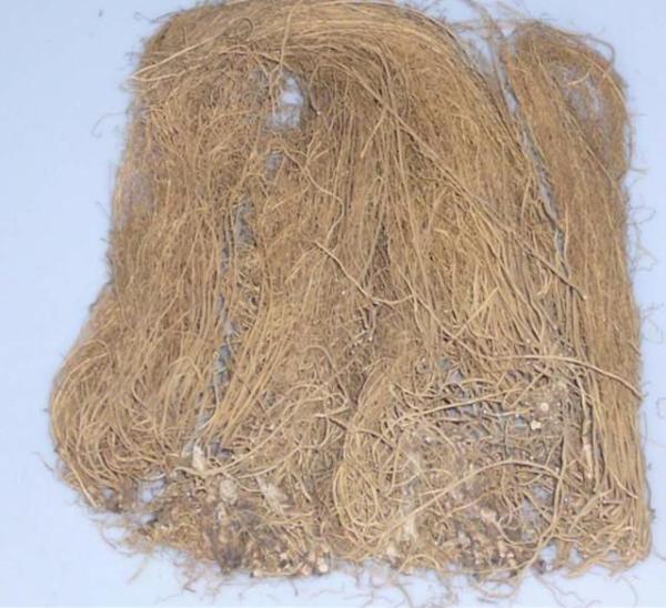 细辛煎剂中含有致癌的马兜铃酸吗让我们来做一番考证