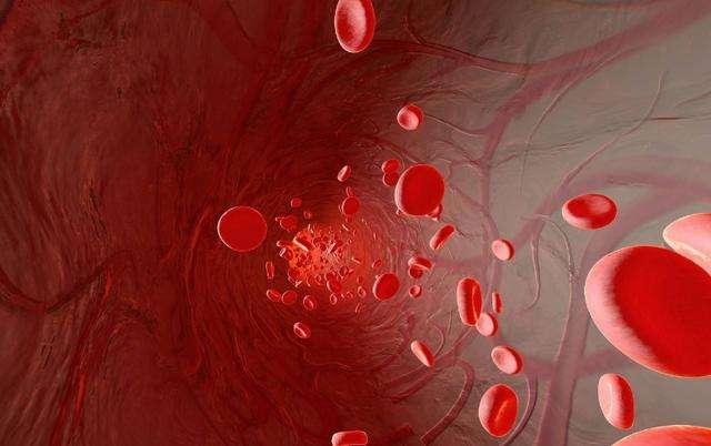 血液病是绝症得了3种血液病不会影响寿命