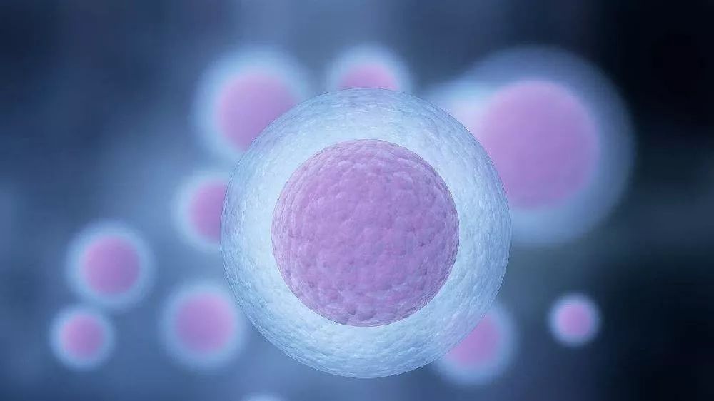 女性卵泡发育不良怎么办?程亚辉来告诉你