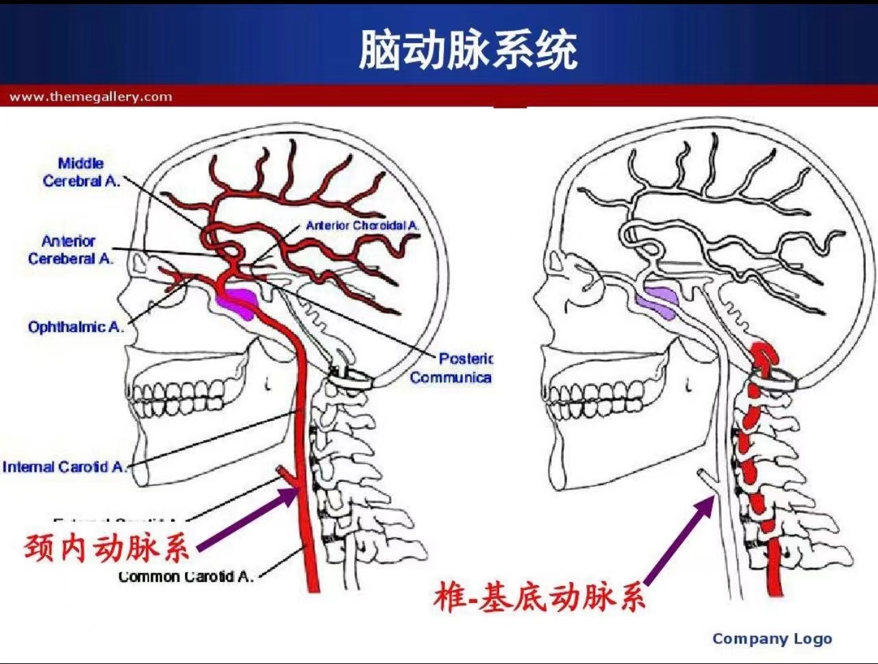 肖丹一根扁弧刃針治療頸椎心臟不適有可能是頸心綜合症