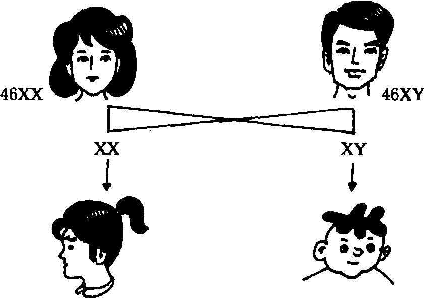 我们是如何把女人变成男人的
