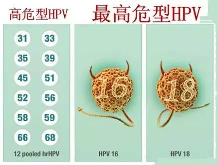 醋酸白对比图片