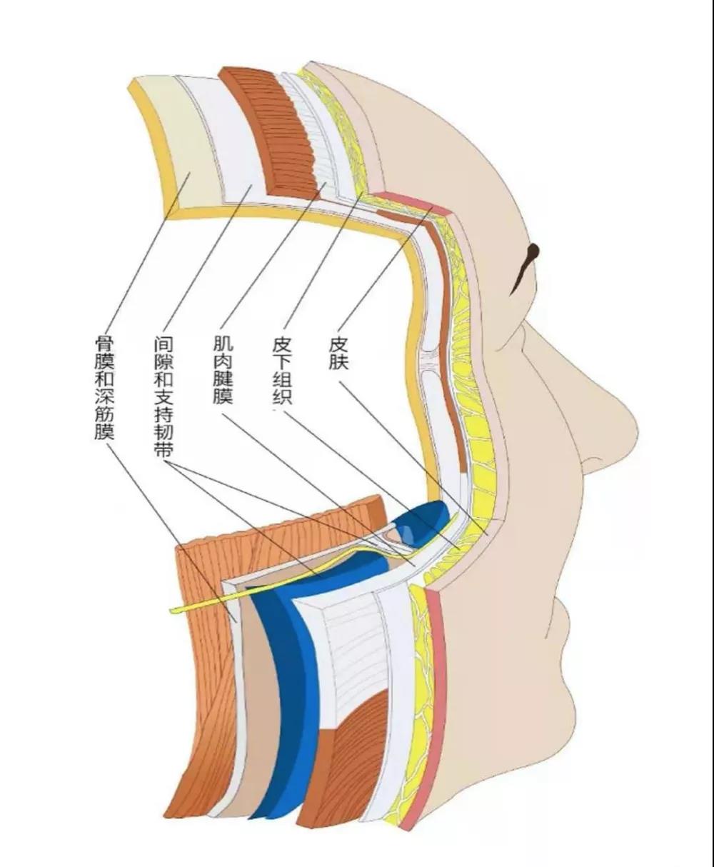 一台fotona 4d pro,全面解决你的皮肤抗衰问题!