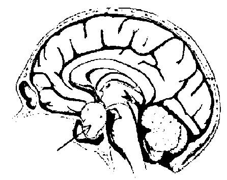 医生为什么一定要垂体瘤患者做激素检查呢